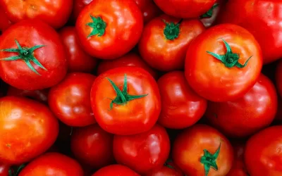 ACUERDO POR EL QUE LA SECRETARÍA DE ECONOMÍA Y LA SECRETARÍA DE AGRICULTURA Y DESARROLLO RURAL ESTABLECEN PRECIOS MÍNIMOS DE EXPORTACIÓN PARA EL TOMATE FRESCO.