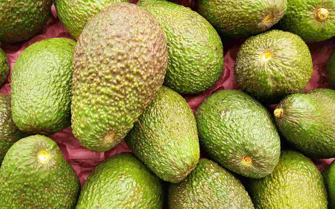 ACUERDO por el que se establecen acciones para garantizar el cumplimiento de las disposiciones fitosanitarias, de no deforestación y de trabajo digno en la producción de aguacate para exportación.