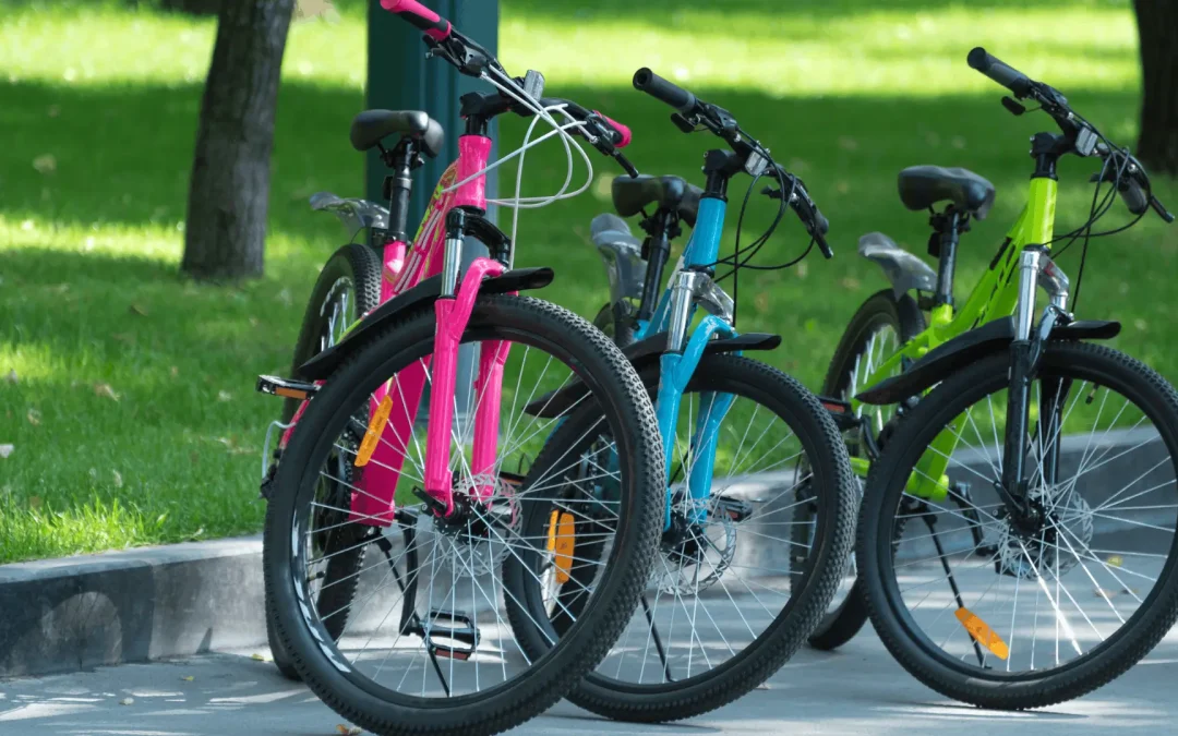 RESOLUCIÓN PRELIMINAR DEL PROCEDIMIENTO ADMINISTRATIVO DE INVESTIGACIÓN ANTIDUMPING SOBRE LAS IMPORTACIONES DE BICICLETAS PARA ADULTO ORIGINARIAS DE LA REPÚBLICA POPULAR CHINA, INDEPENDIENTEMENTE DEL PAÍS DE PROCEDENCIA.